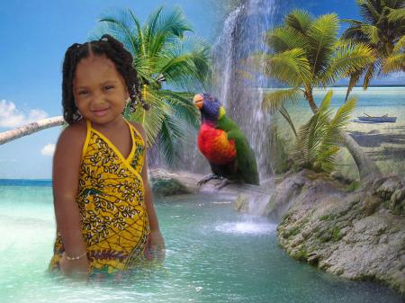 Coucou talina